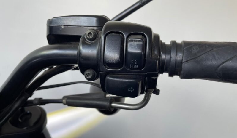 Harley-Davidson Night Rod Special 2014 completo