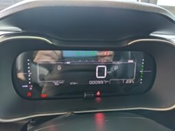 Citroën C4 Cactus 2024 completo