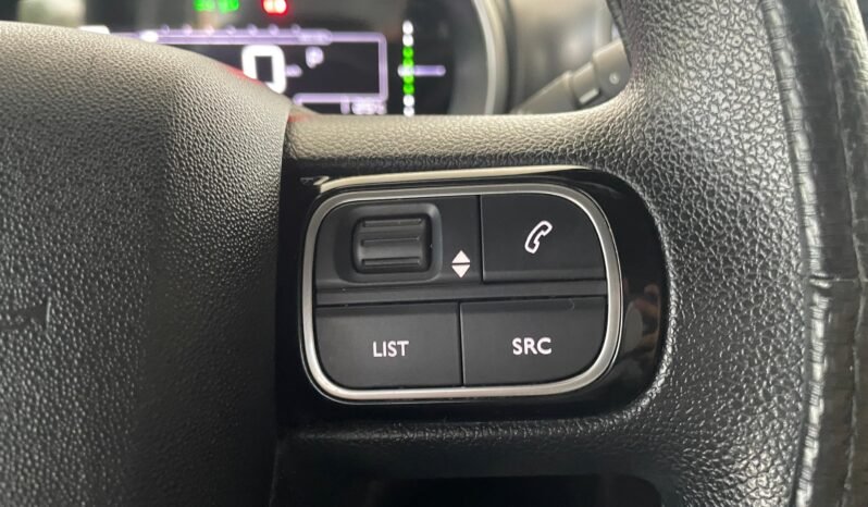 Citroën C4 Cactus Feel completo