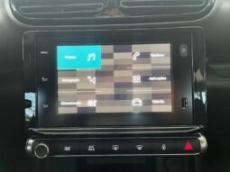 Citroën C4 Cactus Feel completo