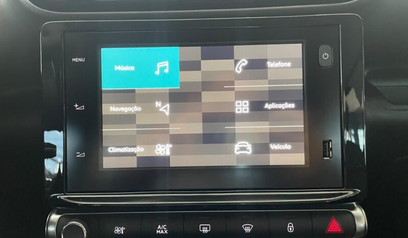 Citroën C4 Cactus Feel completo