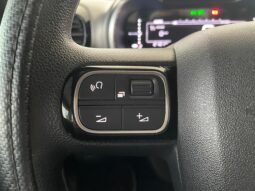 Citroën C4 Cactus Feel completo