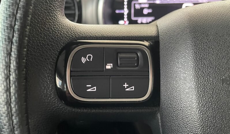 Citroën C4 Cactus Feel completo