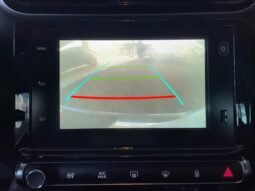 Citroën C4 Cactus Feel completo