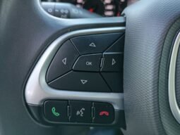 Fiat Cronos Drive 2024 completo