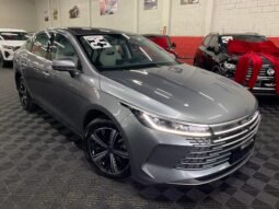 BYD King GS 1.5 completo