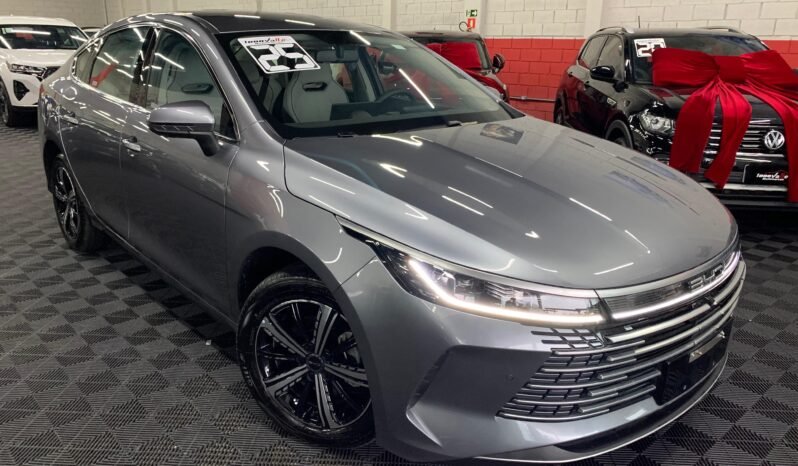 BYD King GS 1.5 completo