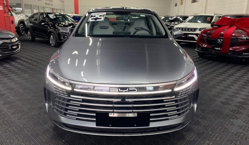BYD King GS 1.5 completo
