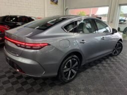 BYD King GS 1.5 completo