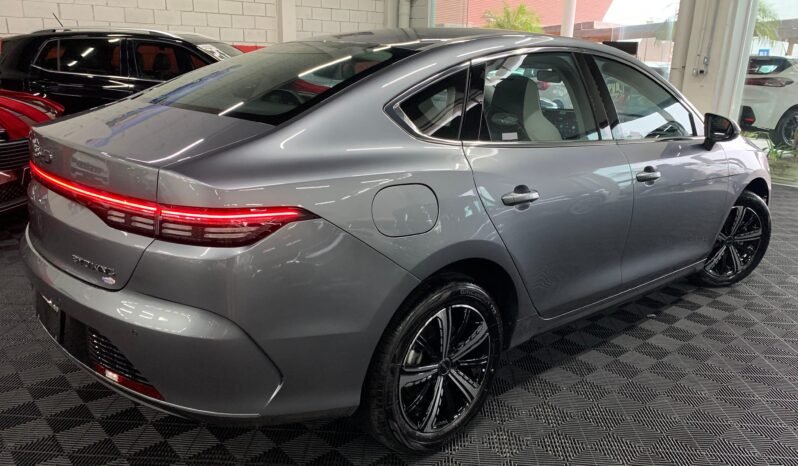 BYD King GS 1.5 completo