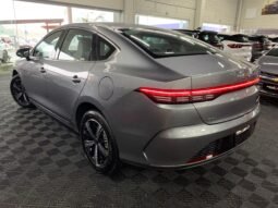 BYD King GS 1.5 completo