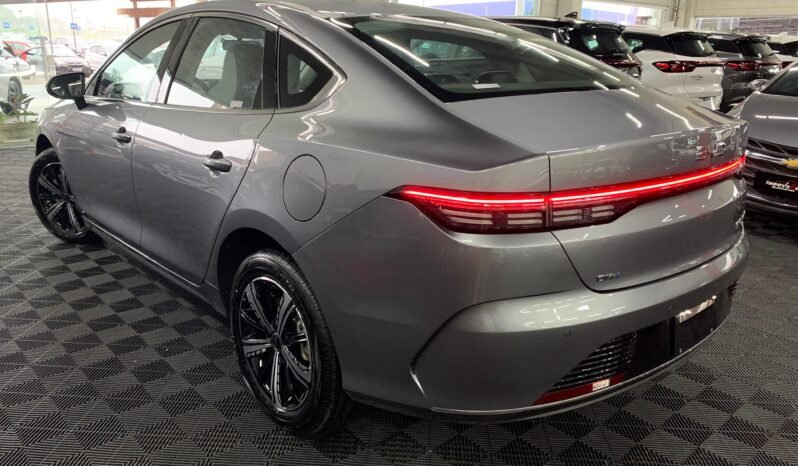 BYD King GS 1.5 completo