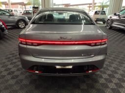 BYD King GS 1.5 completo