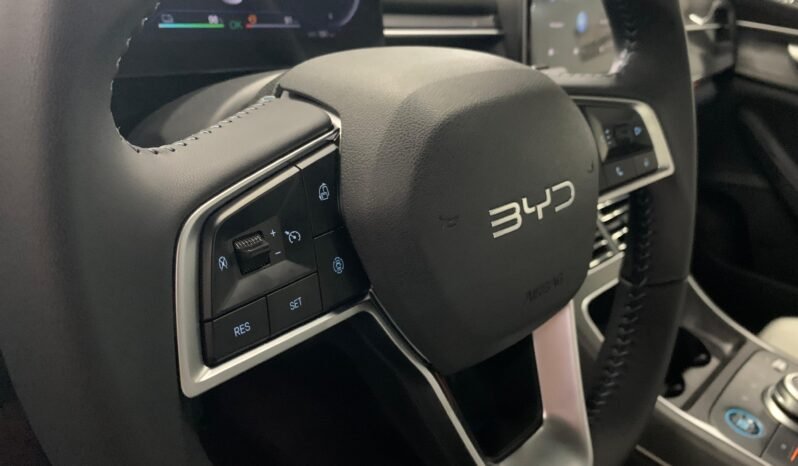 BYD King GS 1.5 completo