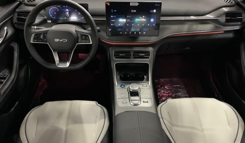 BYD King GS 1.5 completo