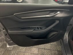 BYD King GS 1.5 completo
