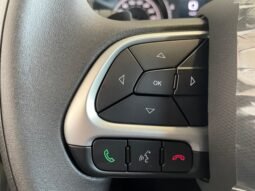 Fiat Fastback Turbo 200 completo