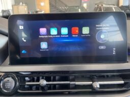 Chery Tiggo 8 TXS 1.6 completo