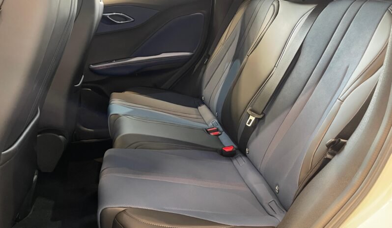 BYD Dolphin Mini completo