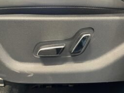 BYD Dolphin Mini completo