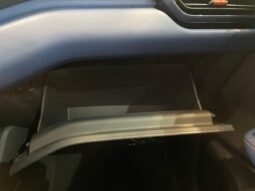 BYD Dolphin Mini completo