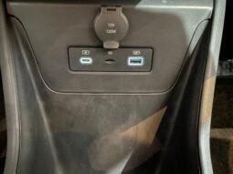 BYD Dolphin Mini completo