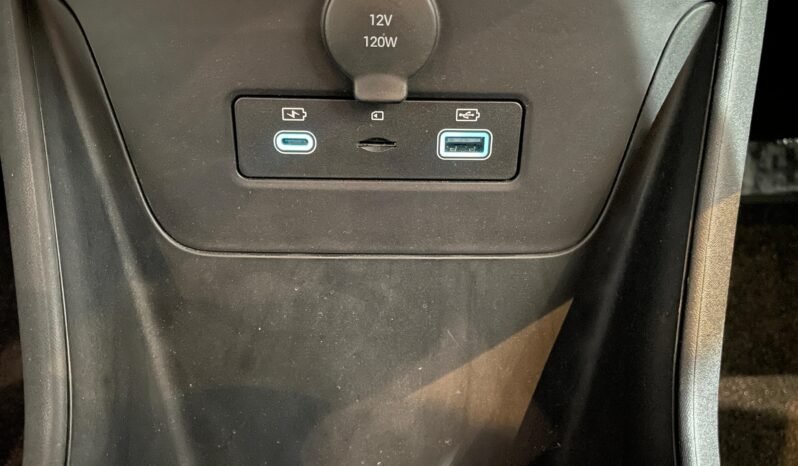 BYD Dolphin Mini completo