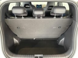 BYD Dolphin Mini completo