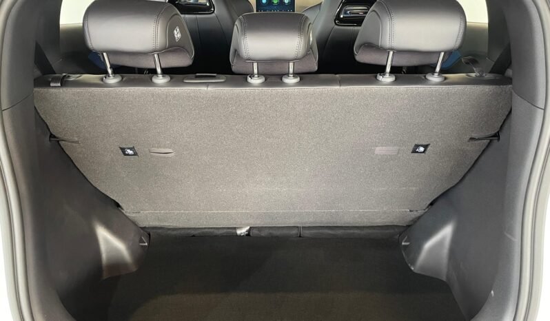 BYD Dolphin Mini completo