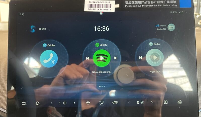 BYD Dolphin Mini completo