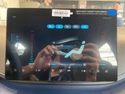 BYD Dolphin Mini completo