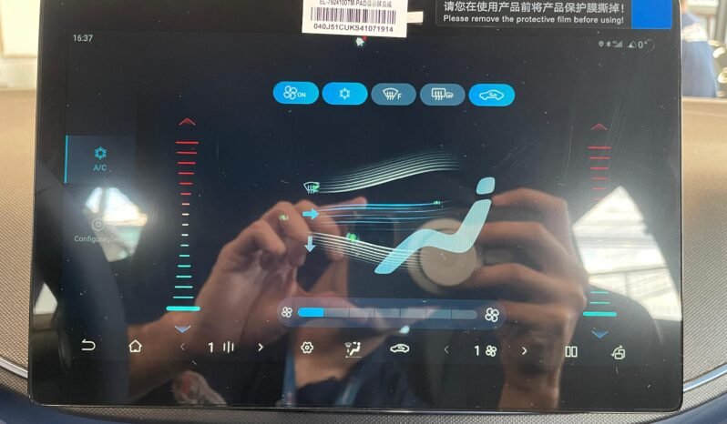 BYD Dolphin Mini completo