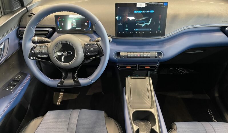 BYD Dolphin Mini completo