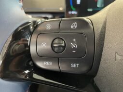 BYD Dolphin Mini completo