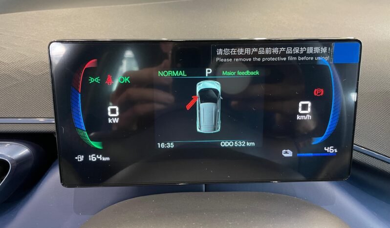 BYD Dolphin Mini completo