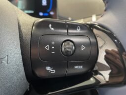 BYD Dolphin Mini completo