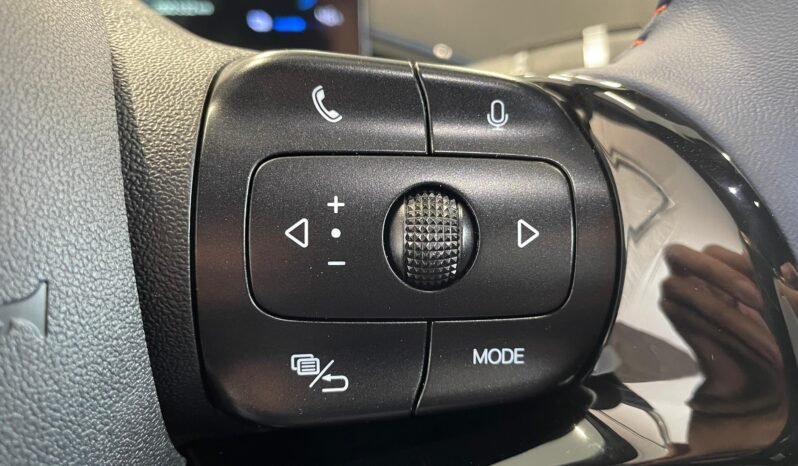 BYD Dolphin Mini completo
