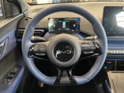 BYD Dolphin Mini completo