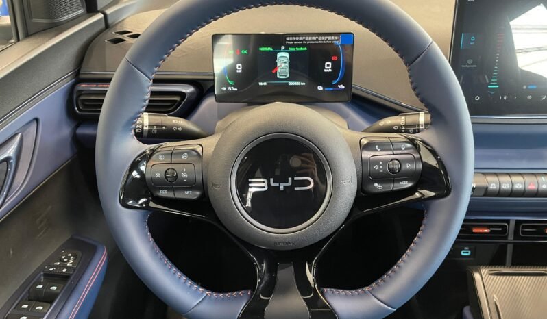 BYD Dolphin Mini completo