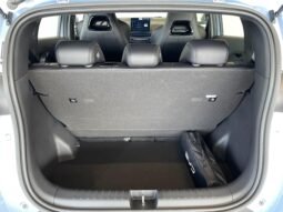 BYD Dolphin Mini completo