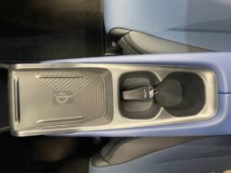 BYD Dolphin Mini completo