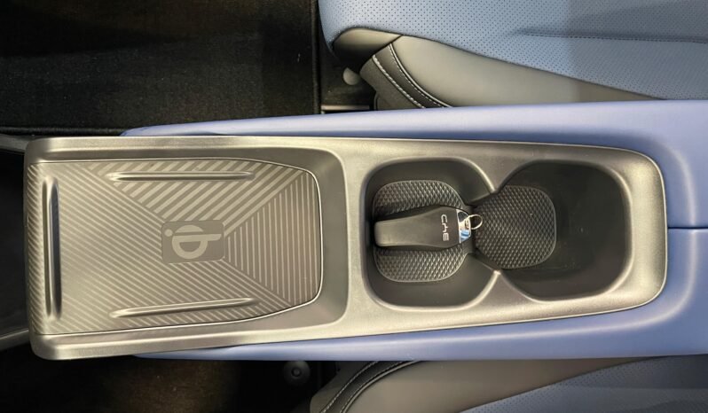 BYD Dolphin Mini completo