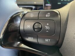BYD Dolphin Mini completo