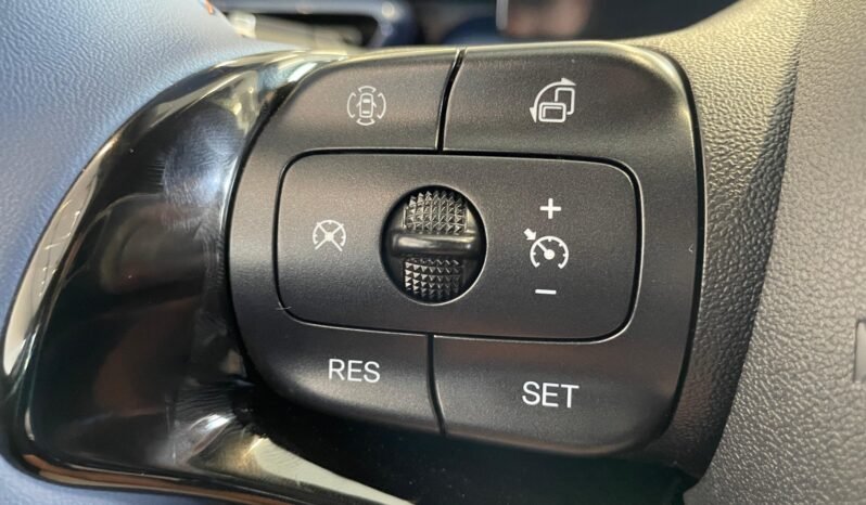 BYD Dolphin Mini completo