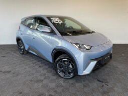 BYD Dolphin Mini