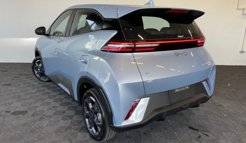 BYD Dolphin Mini completo