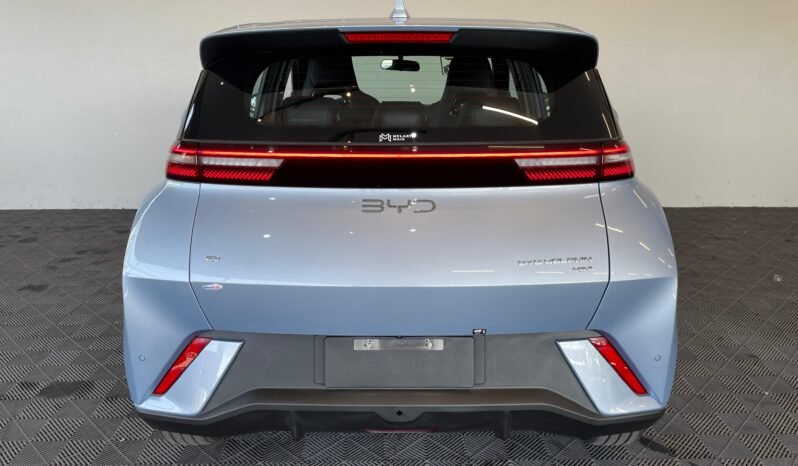 BYD Dolphin Mini completo
