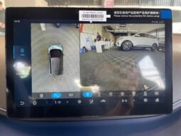 BYD Dolphin Mini completo