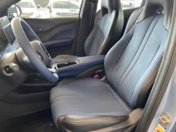 BYD Dolphin Mini completo