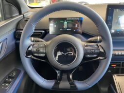 BYD Dolphin Mini completo
